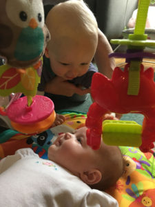 Krol and DeBoer babies meeting - fixed
